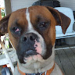 Meet your Posher, Kerri